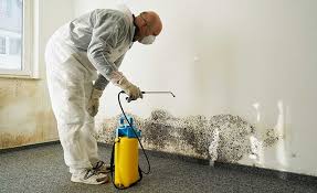 Best Mold Documentation for Insurance Claims  in New London, WI